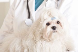 Pain Management