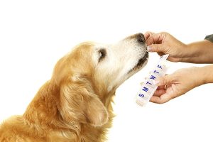 In-House Pharmacy