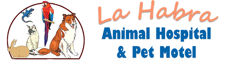 Animal Hospital & Pet Motel