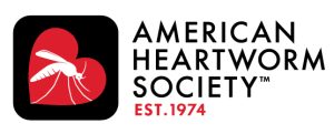 How Can I Protect My Dog Against Heartworms