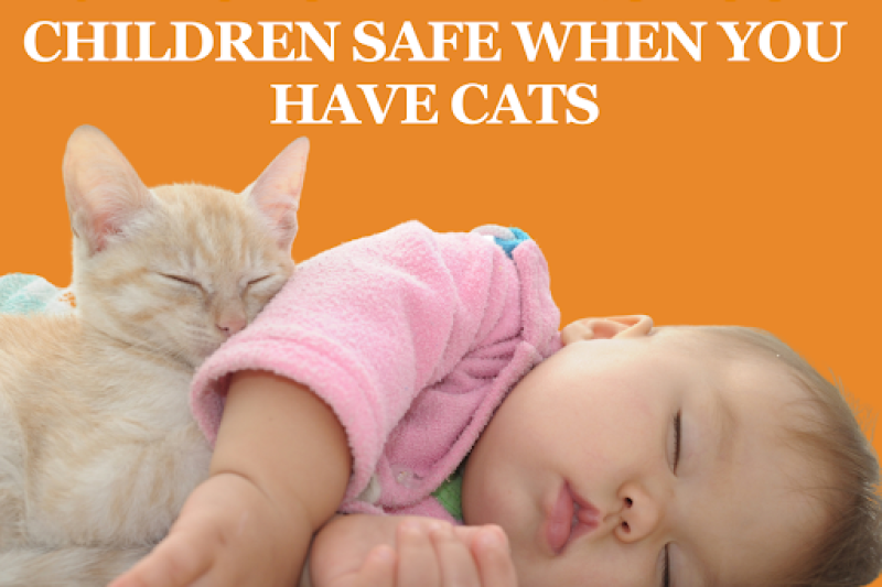 10 Tips for Keeping Your Children Safe When You Have Cats - Veterinary La Habra