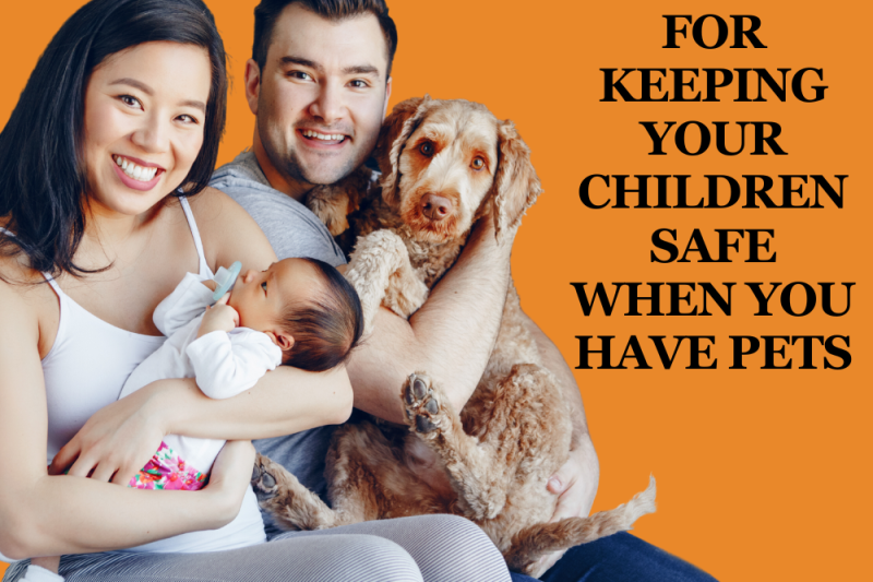 10 Tips for Keeping Your Children Safe When You Have Pets - Veterinary La Habra