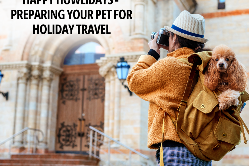 Happy Howlidays – Preparing Your Pet for Holiday Travel - Veterinary La Habra