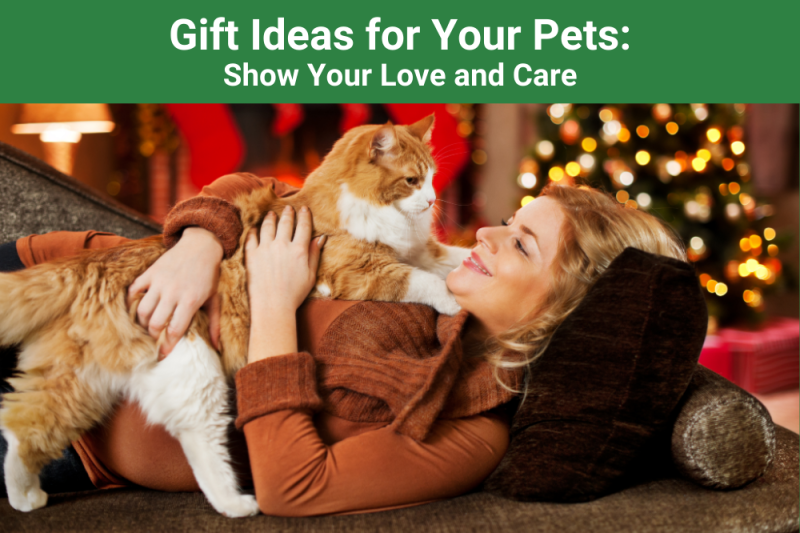 Gift Ideas for Your Pets: Show Your Love and Care - Veterinary La Habra
